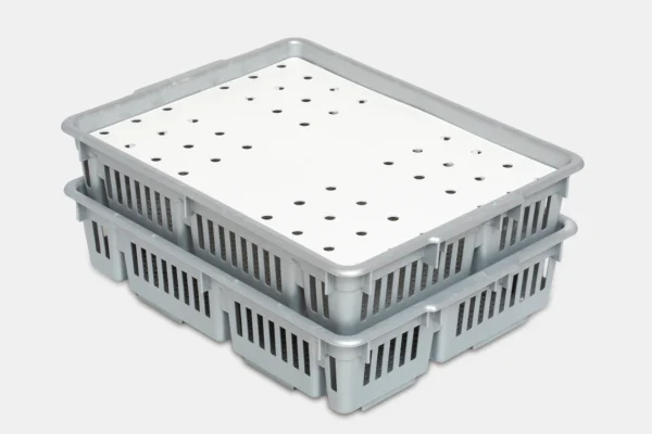 صندوق الكتاكيت | Best Poultry Technology