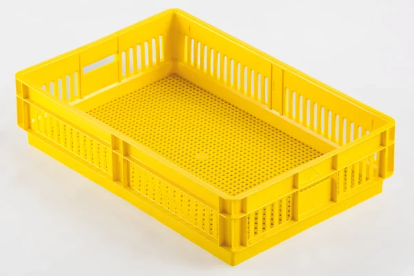 صناديق الكتاكيت | Best Poultry Technology