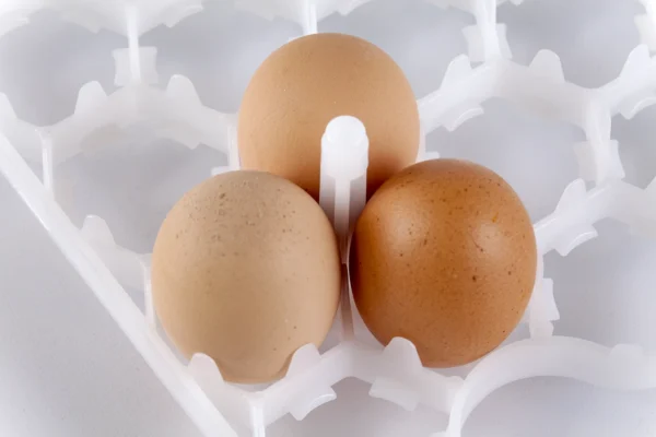 Bandeja de incubadora | Best Poultry Technology