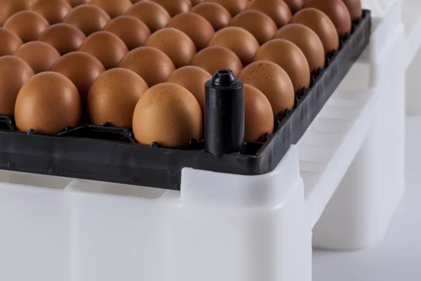 Bandeja de incubadora | Best Poultry Technology