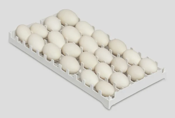 Cassetto di incubazione | Best Poultry Technology