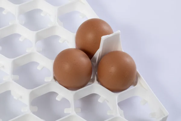 Bandejas de incubación | Best Poultry Technology