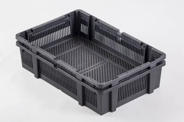 Chick Delivery Box | Best Poultry Technology