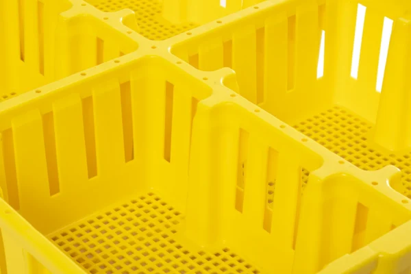 Boîtes à poussins | Best Poultry Technology