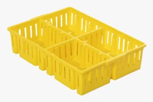 Chick Box | Best Poultry Technology