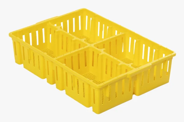 Boîtes à poussins | Best Poultry Technology