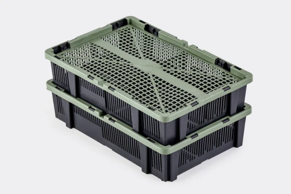 Boîtes à poussins | Best Poultry Technology
