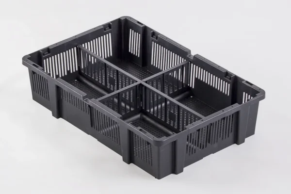 Boîtes à poussins | Best Poultry Technology