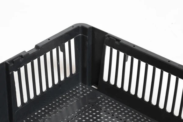 Caja transporte pollitos | Best Poultry Technology
