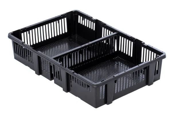 Caja transporte pollitos | Best Poultry Technology
