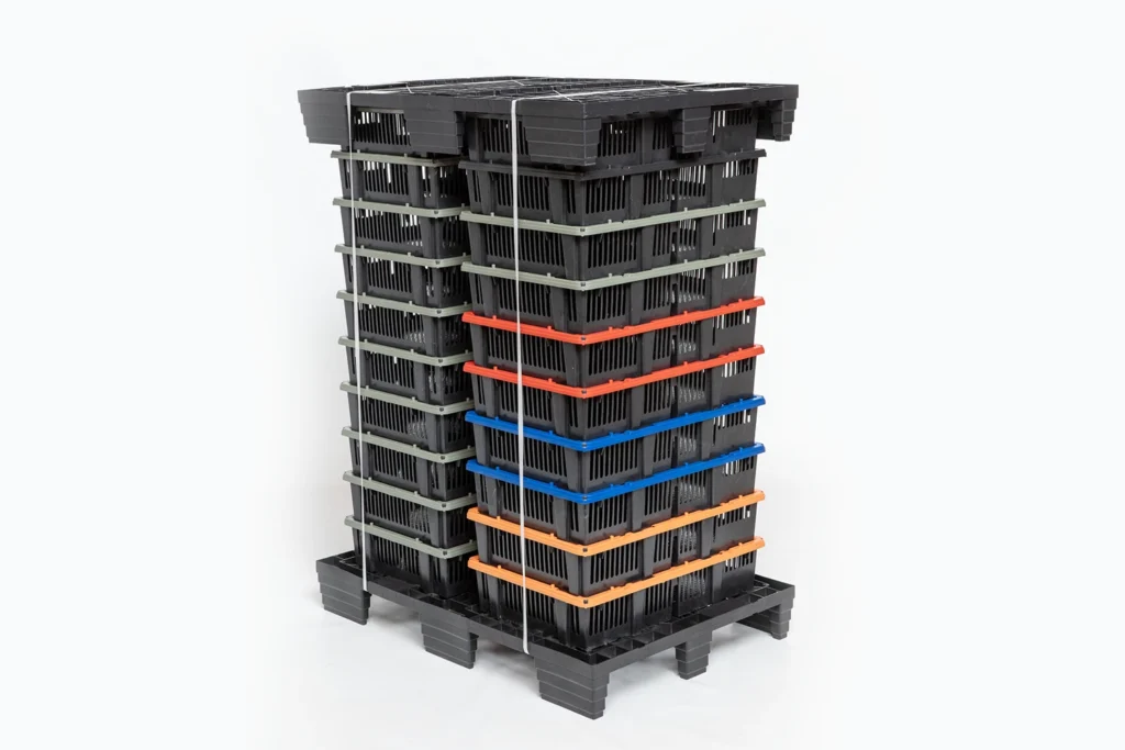 Chick Transport Systems | Best Poultry Technology