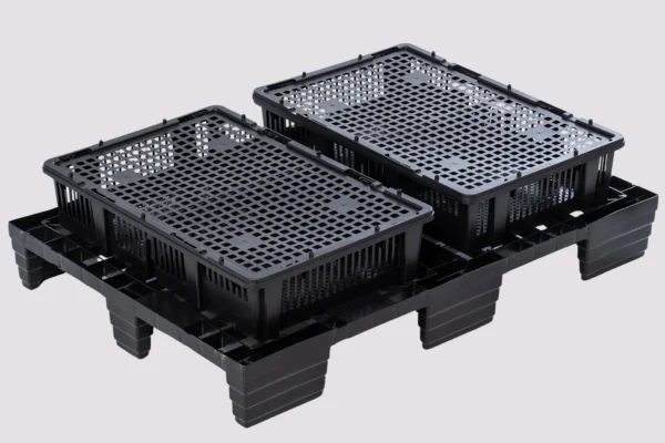 Sistemi di trasporto pulcini | Best Poultry Technology