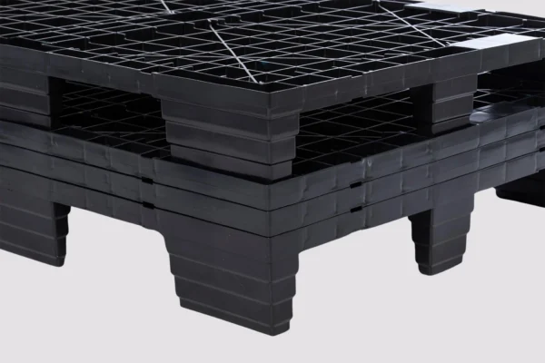 Sistemi di trasporto pulcini | Best Poultry Technology