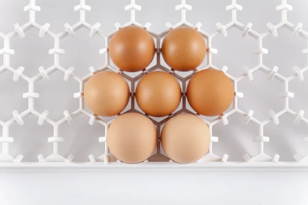 Plateaux d'incubation | Best Poultry Technology