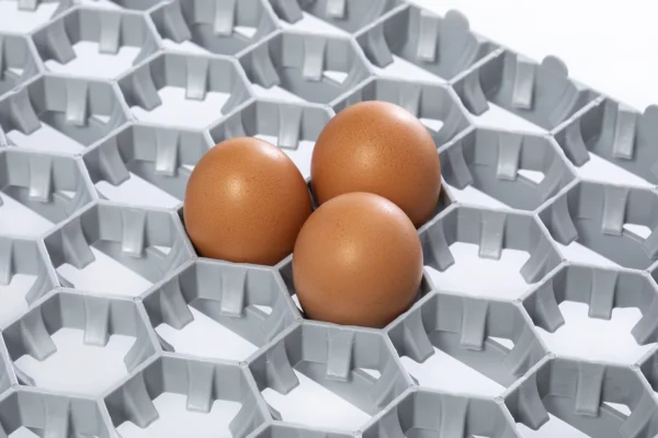 Plateaux d'incubation | Best Poultry Technology